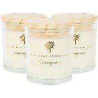 Nicola Spring 130g Lemongrass Soy Candles - Pack of 3 - Fruity Summer in Clear