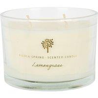 Nicola Spring 350g Lemongrass Soy Wax Candle - Double Wick Fruity Jar in Clear