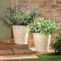 Gainsborough Olive Branch Terracotta-Style Planters, Set of 2, 30cm in Cream