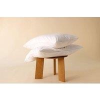 surrey down Duck Feather & Down Continental Pillow in White