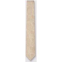 Antique Rogue Men's Paisley Wedding Tie in Nude