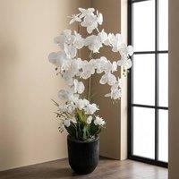 Garden Greatness 5ft Maison Botanical Real Touch Orchid | Size: 1 Pack