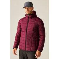 Regatta Men's Asper Insulating Quilted Padded Jacket in Maroon | Size: 2XL