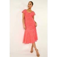 Roman Women's Petite Lace Tiered Dress in Coral | Size: 14