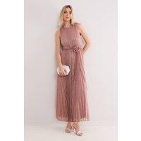 Phase Eight Women's Simara Flower Detail Pleated Maxi Dress in Dusty Pink | Size: 20