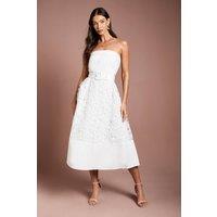 Coast Women's Bandeau Belted Lace Midi Dress in Ivory | Size: 8