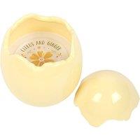 Something Different Citrus & Ginger Egg Shaped Scented Candle in Yellow