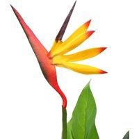 Berkfield Home Artificial Strelitzia Reginae Plant Bird of Paradise 66 cm