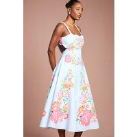 Coast Women's Square Neck Floral Placement Print Full Skirted Cotton Dress in Pale Blue | Size: 12
