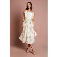 Coast Women's Fan Bodice Embroidered Mesh Midi Dress in Ivory | Size: 16