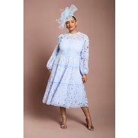 Coast Women's Plus Lace Panelled Long Sleeve Dress in Lavender | Size: 20