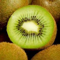 Plant Theory Kiwi Jenny Fruit Bush Actinidia Deliciosa Fruiting Shrub Plant 2L Pot in Green