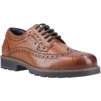 Cotswold Men's Ramsden Brogue Dress Shoe in Tan | Size: 7