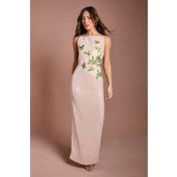 Coast Women's Floral Applique Sequin Maxi Dress in Blush | Size: 16