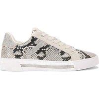 Carvela Women's 'Daze Jewel' Snake Print Trainers in Beige | Size: 3