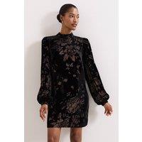 Phase Eight Women's Reanna Shift Dress in Black | Size: 22