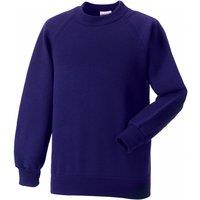 Jerzees Schoolwear Jerzees Schoolgear Raglan Sleeve Sweatshirt Pack of 2 in Purple | Size: 5-6 Years