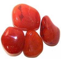KDMD L Tumble Stones - Carnelian - (Set of 24) in Red