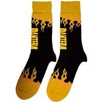 Pantera Women's Flame Ankle Socks in Black