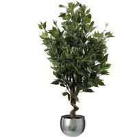 Leaf 110cm Artificial Evergreen Ficus Tree Silver Curve Planter in Green