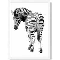 ARTZE Cheeky Zebra Animal Black & White Photo Framed Print SIZE: A3 with White Frame