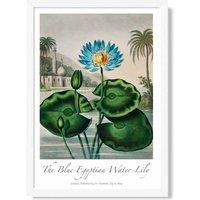 ARTZE Vintage Floral Exhibition - Egyptian Water Lily Framed Print SIZE: A2 with White Frame in Green | Size: A3