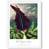 ARTZE Vintage Floral Exhibition - Dragon Arum Flower Framed Print SIZE: A2 with White Frame in Purple | Size: A4