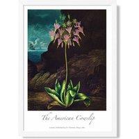 ARTZE Vintage Floral Exhibition - Cowslip Plant Framed Print SIZE: A3 with White Frame in Pink | Size: A4