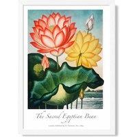 ARTZE Vintage Floral Exhibition - Egyptian Bean Flower Framed Print SIZE: A4 with White Frame in Red