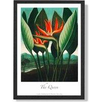 ARTZE Vintage Floral Exhibition - The Queen Tropical Flower Framed Print SIZE: A2 with Black Frame in Red | Size: A4