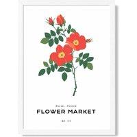 ARTZE Orange Cosmos Plant Flower Market Simplicity Framed Print SIZE: A2 with White Frame | Size: A3