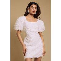 Oasis Women's Petite Textured Tuelle Mini Dress in Ivory | Size: 14