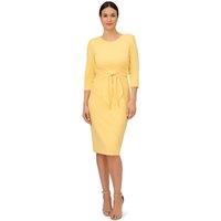 Adrianna Papell Women's Knit Crepe Tie Waist Sheath in Yellow | Size: 16