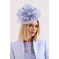 Phase Eight Women's Freeform Fascinator in Baby Blue