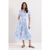 Phase Eight Women's Queenie Belted Midi Dress in Baby Blue | Size: 8