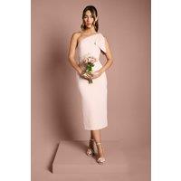 Coast Women's Bow One Shoulder Midi Bridesmaid Dress in Blush | Size: 14