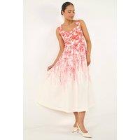 Roman Women's Petite Floral Waist Stretch Midi Dress in Coral | Size: 18