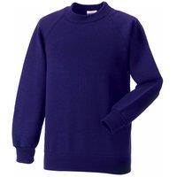 Jerzees Schoolwear Jerzees Schoolgear Raglan Sleeve Sweatshirt Pack of 2 in Purple | Size: 9-10 Years