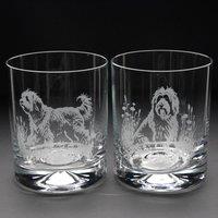 Glyptic Glass Art Tibetan Terrier Whiskey Tumbler Glass in Clear | Size: P