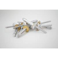 JRP Riveting Products Aluminium Rivets 7.8 x 28.2mm - Box of 100 in Silver