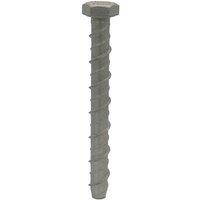 JCP CONSTRUCTION PRODUCTS Ankerbolts Hexagon Head 12/14 x 100mm - Box of 50 in Grey