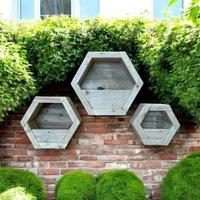 Buttercup Farm Hanging Wooden Hexagon Wall Planter (Set of 3) - L16 x W34 x H30 cm in Light Brown