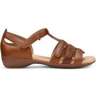Hotter Women's 'Solei' Gladiator Sandals in Tan | Size: 5.5