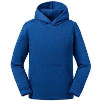 Russell Authentic Hooded Sweatshirt in Royal | Size: 3-4 Years