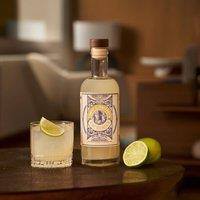 Tommys Fizz Cocktails Margarita Cocktail in Yellow | Size: 700ml