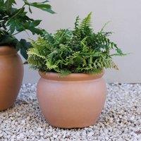 Primrose Terracotta Style Garden Planter Round Outdoor Bowl Plant Pot | Size: Small