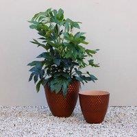 Primrose Dimpled Glazed Look Round Outdoor Brown Flower Pot Patio Planter | Size: Large