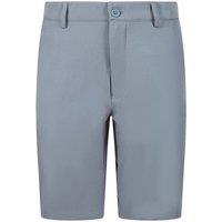 Fazer Men's Fairfield Golf Shorts in Grey | Size: 38
