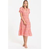 Liquorish Women's Pink Leopard Print Midi Dress | Size: 12