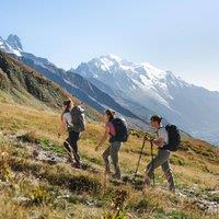 Alpkit Men's Arnison midweight hiking trousers in Khaki | Size: 32S